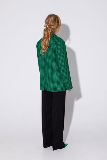 PiRS 4953 (двойка) - фото 2