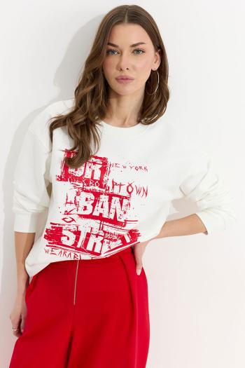 Женские джемперы  4309.01