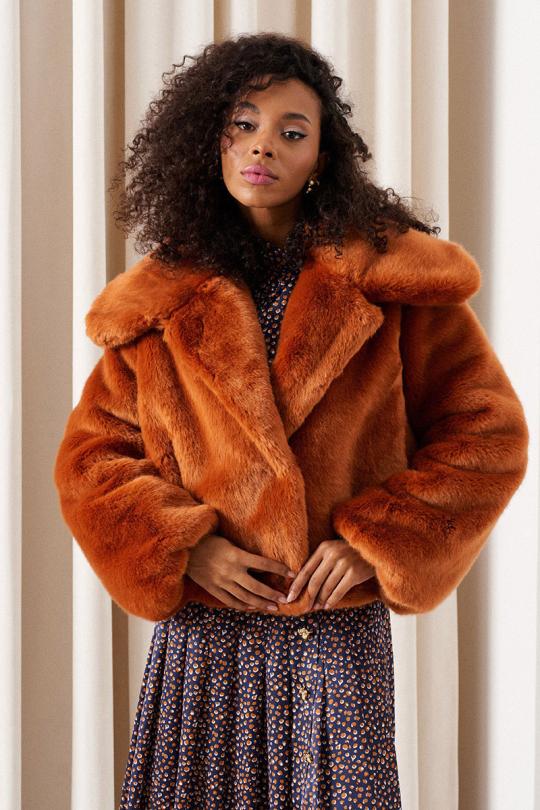 Colors of Papaya 1743