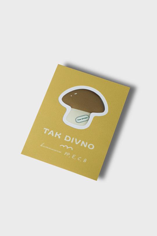 TAK DIVNO 200.09 «Боровичок»